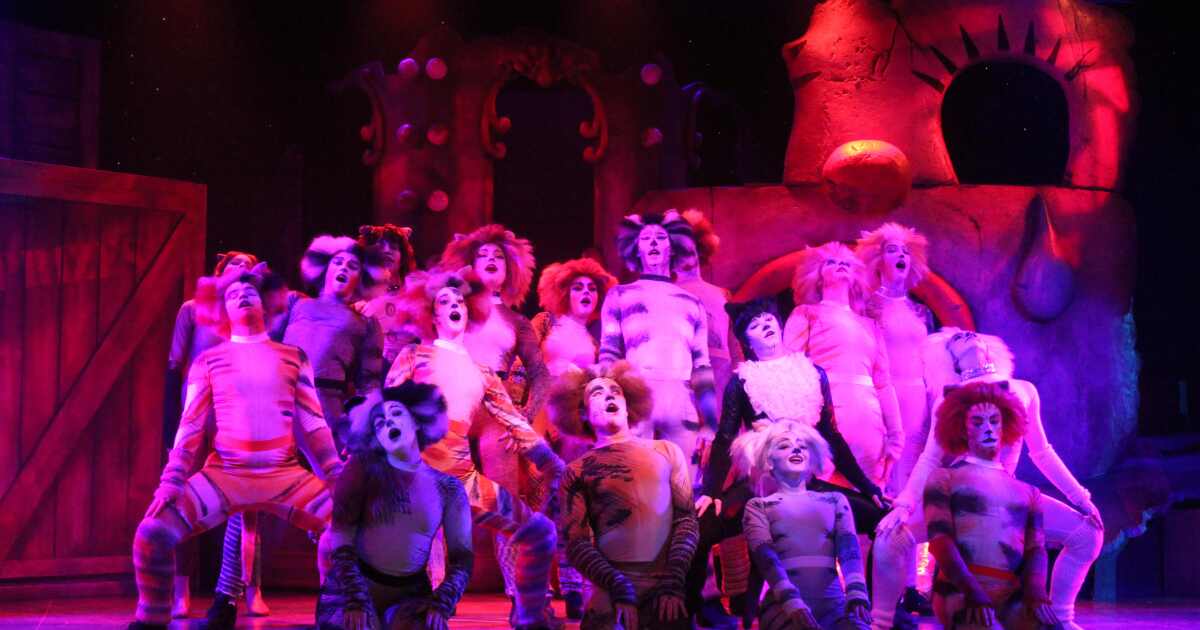 Broadway Palm and Cape Coral Animal Shelter join forces to draw attention to Lee County cat crisis | WGCU News