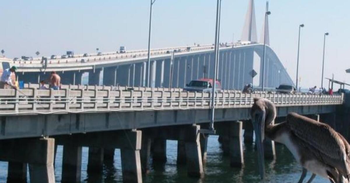 DeSantis orders the Sunshine Skyway Fishing Pier be rebuilt
