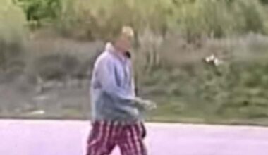 Suspect sought by Charlotte County Sheriff's Office after shot fired incident | WGCU News