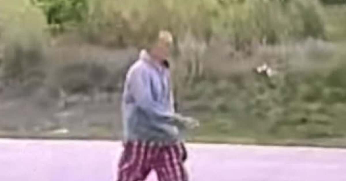 Suspect sought by Charlotte County Sheriff's Office after shot fired incident | WGCU News
