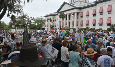 One person arrested at Tallahassee No Kings Protest