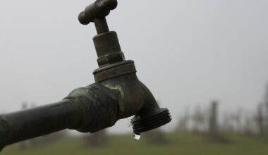 Drought worsens to 'extreme' in Southwest Florida and is also forecast to continue | WGCU News