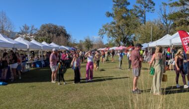 Anti-DEI measures move through the state legislature as Tallahassee holds its annual Pride Fest