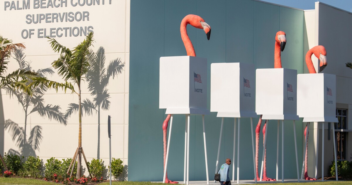 Legislative elections to (finally) take place in three Florida counties on Tuesday