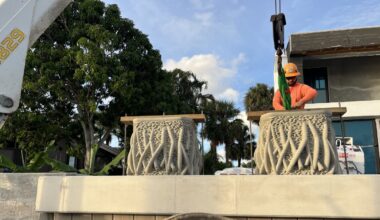 At the hardened intersection of land and sea, an effort to bring back marine life : NPR