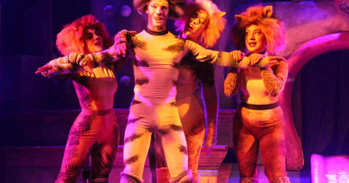 New 'Jellicle Ball' Broadway show not to be confused with Broadway Palm's 'CATS' | WGCU News