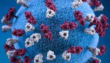 5 more measles cases in Collier help push Florida's total to 132 for the year