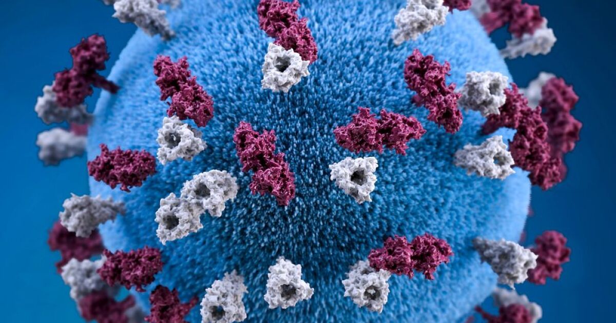5 more measles cases in Collier help push Florida's total to 132 for the year