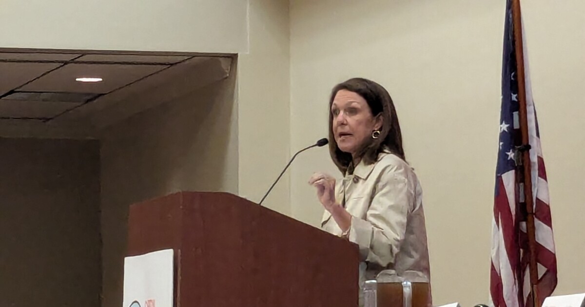 Leon School Board member advocates possible school closures and opposes property tax rate increase before Tiger Bay members