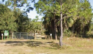 Cape Coral police seeking information on Sunday disturbance at Yucca Pens location | WGCU News