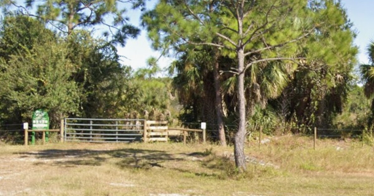 Cape Coral police seeking information on Sunday disturbance at Yucca Pens location | WGCU News