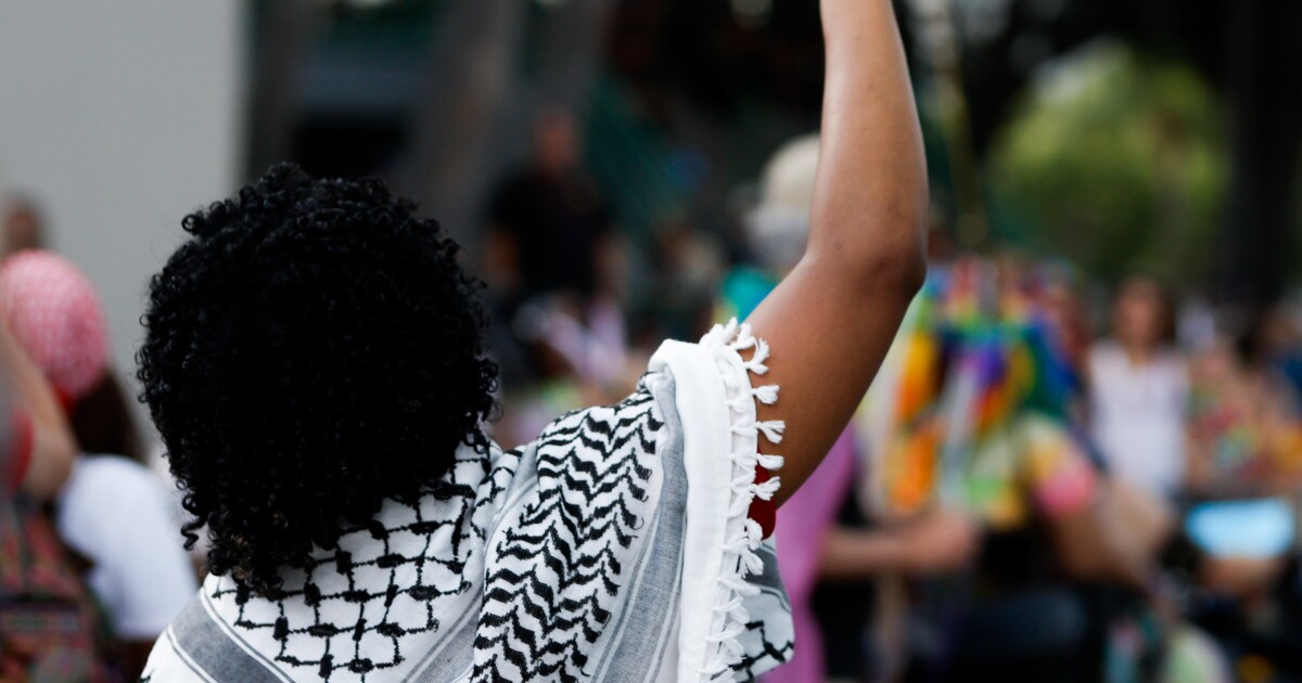 Florida Senate votes to ban local governments from spending on DEI