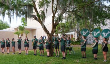 USF Tampa shares a free daylong festival of the arts on Thursday