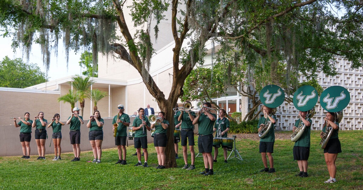 USF Tampa shares a free daylong festival of the arts on Thursday