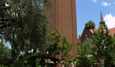 College Republicans sue University of Florida president, alleging free speech violation