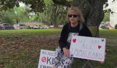 Tallahassee residents gather at the Capitol for third No Kings protest