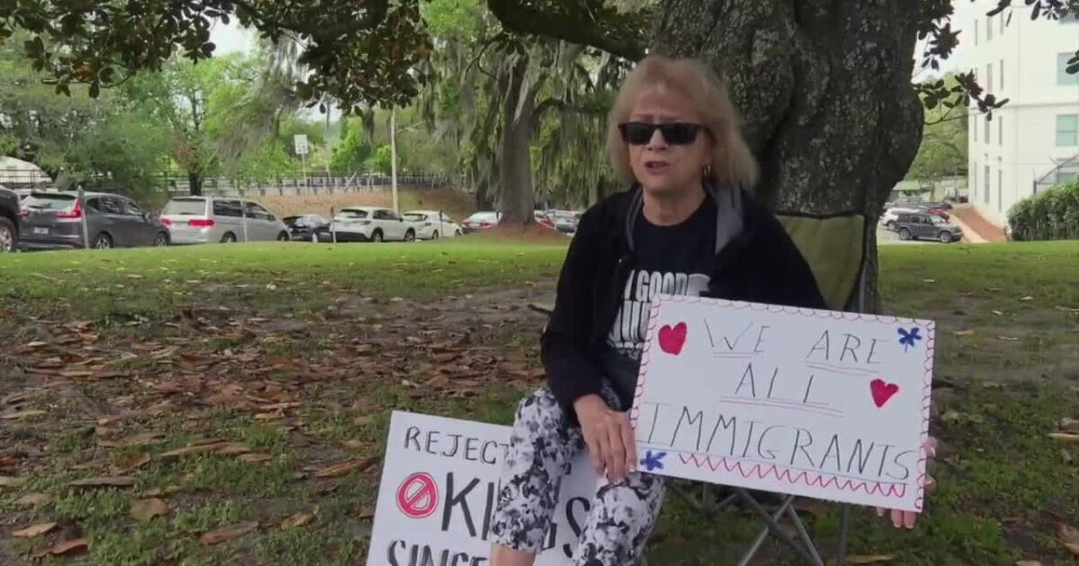 Tallahassee residents gather at the Capitol for third No Kings protest