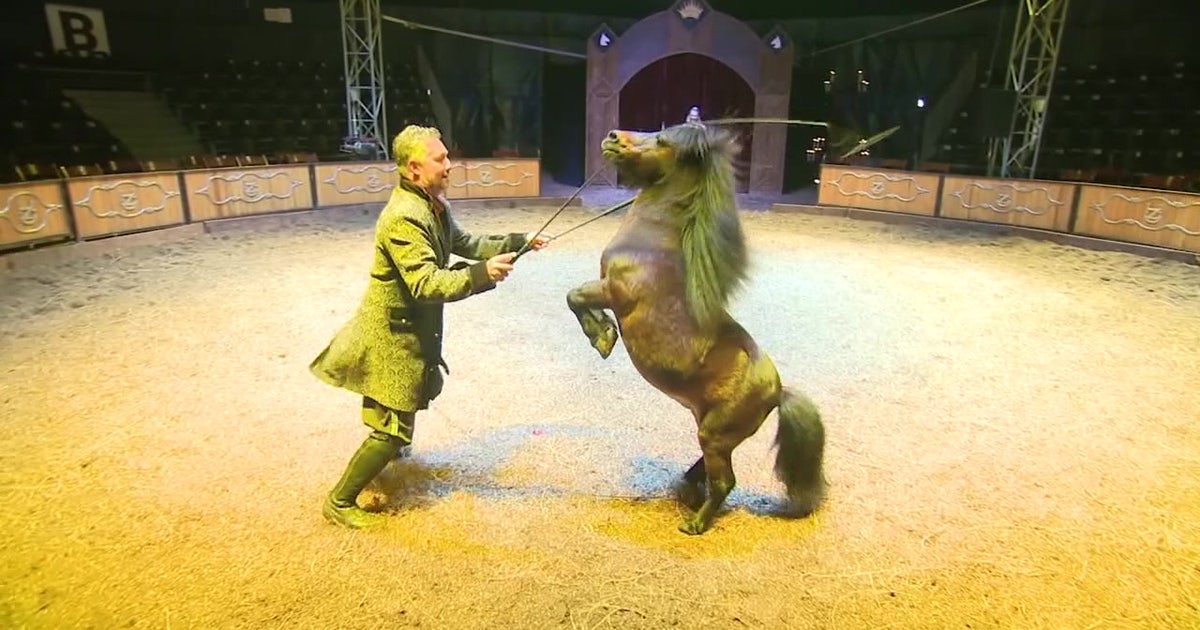 Largest equestrian arts show in North America comes to Tampa Bay