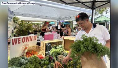 South St. Pete grocery co-op moves closer to opening with city grant, growing membership