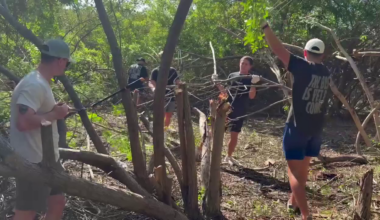 Bay Area volunteers remove thousands of pounds of trash and invasive plants during cleanup events