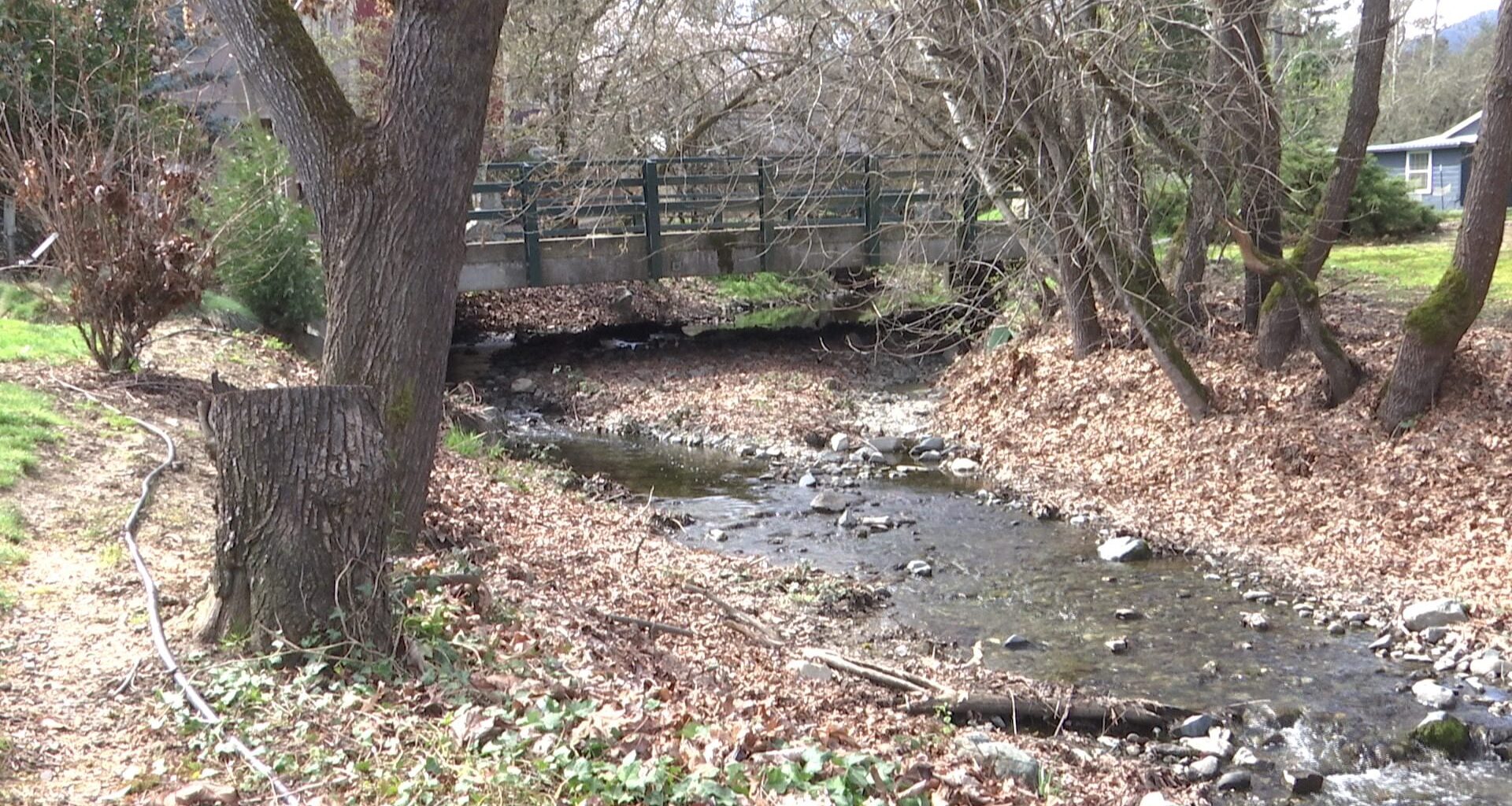 Jacksonville couple working to restore local creek