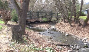 Jacksonville couple working to restore local creek