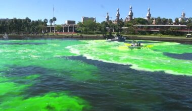 Don’t rely on luck: How to survive Tampa’s seven-event Saturday