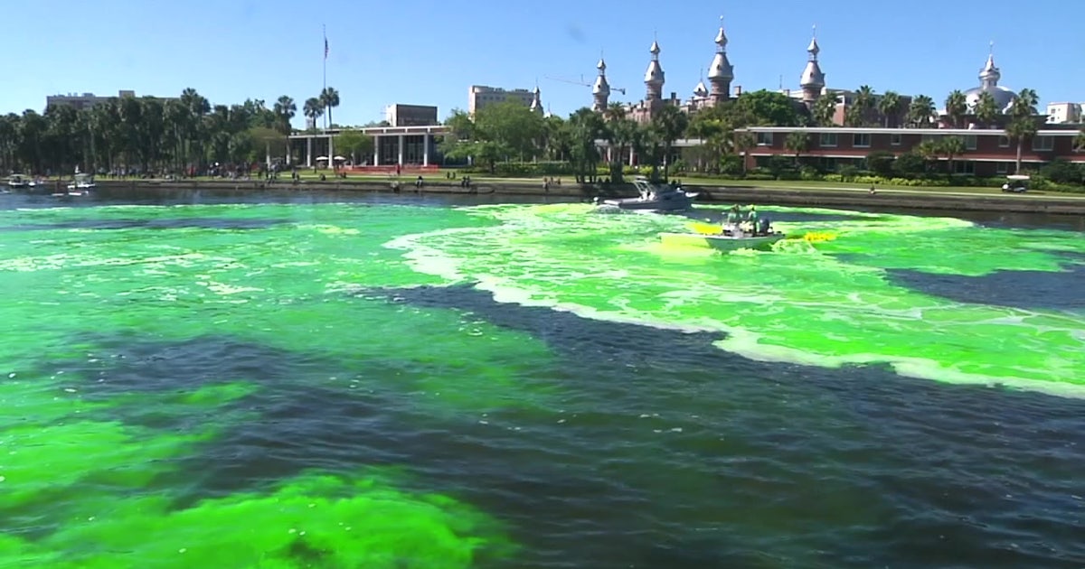 Don’t rely on luck: How to survive Tampa’s seven-event Saturday