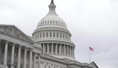 Airline CEOs urge Congress to pay TSA workers during partial government shutdown
