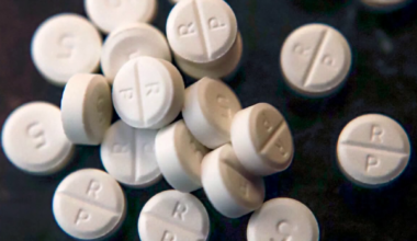 USF, Pasco Opioid Taskforce seek feedback to fight addiction