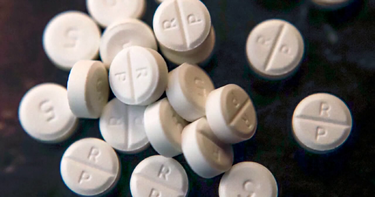 USF, Pasco Opioid Taskforce seek feedback to fight addiction