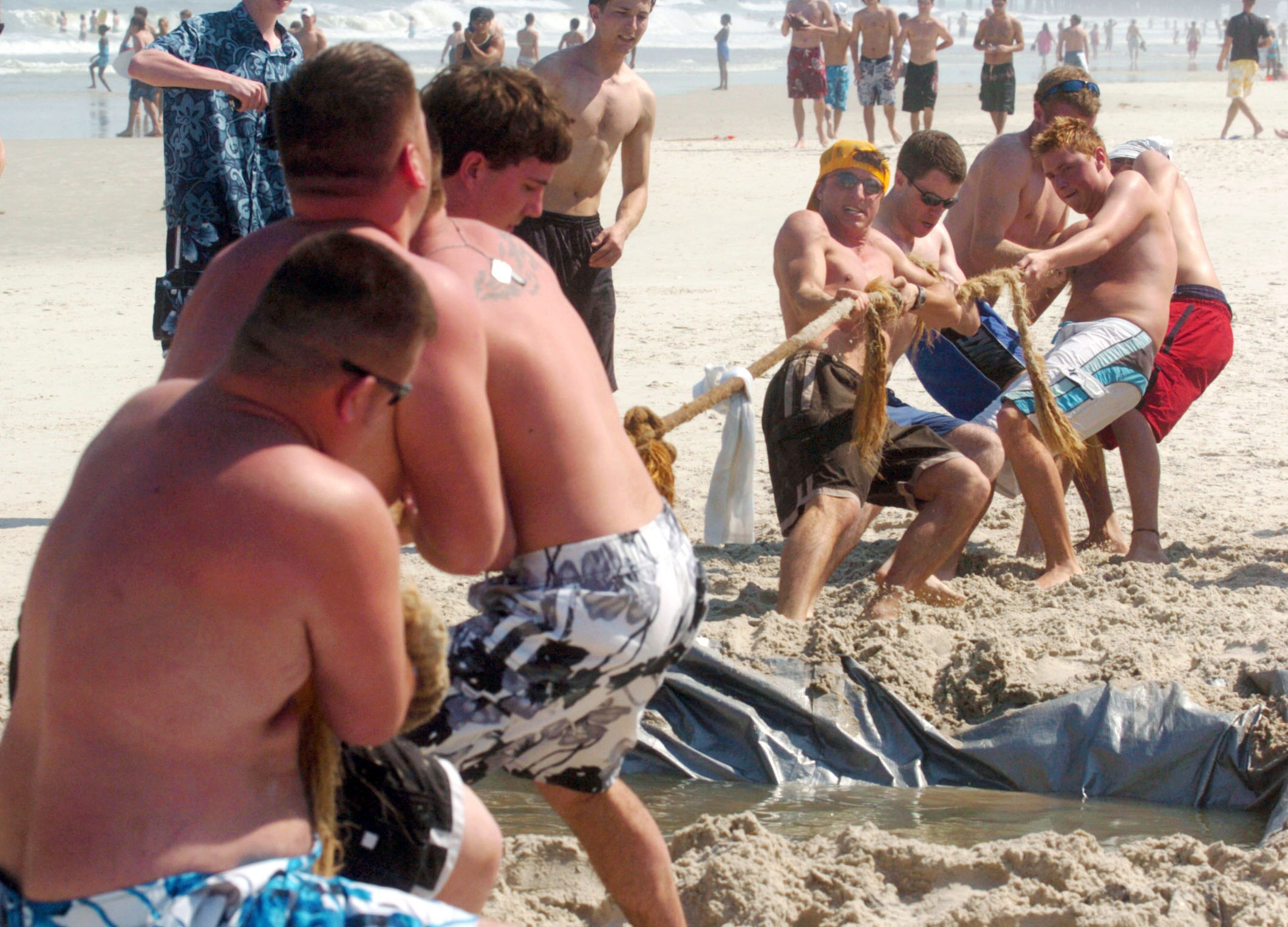 A tug of war contest for springbreakers on Daytona Beach,...
