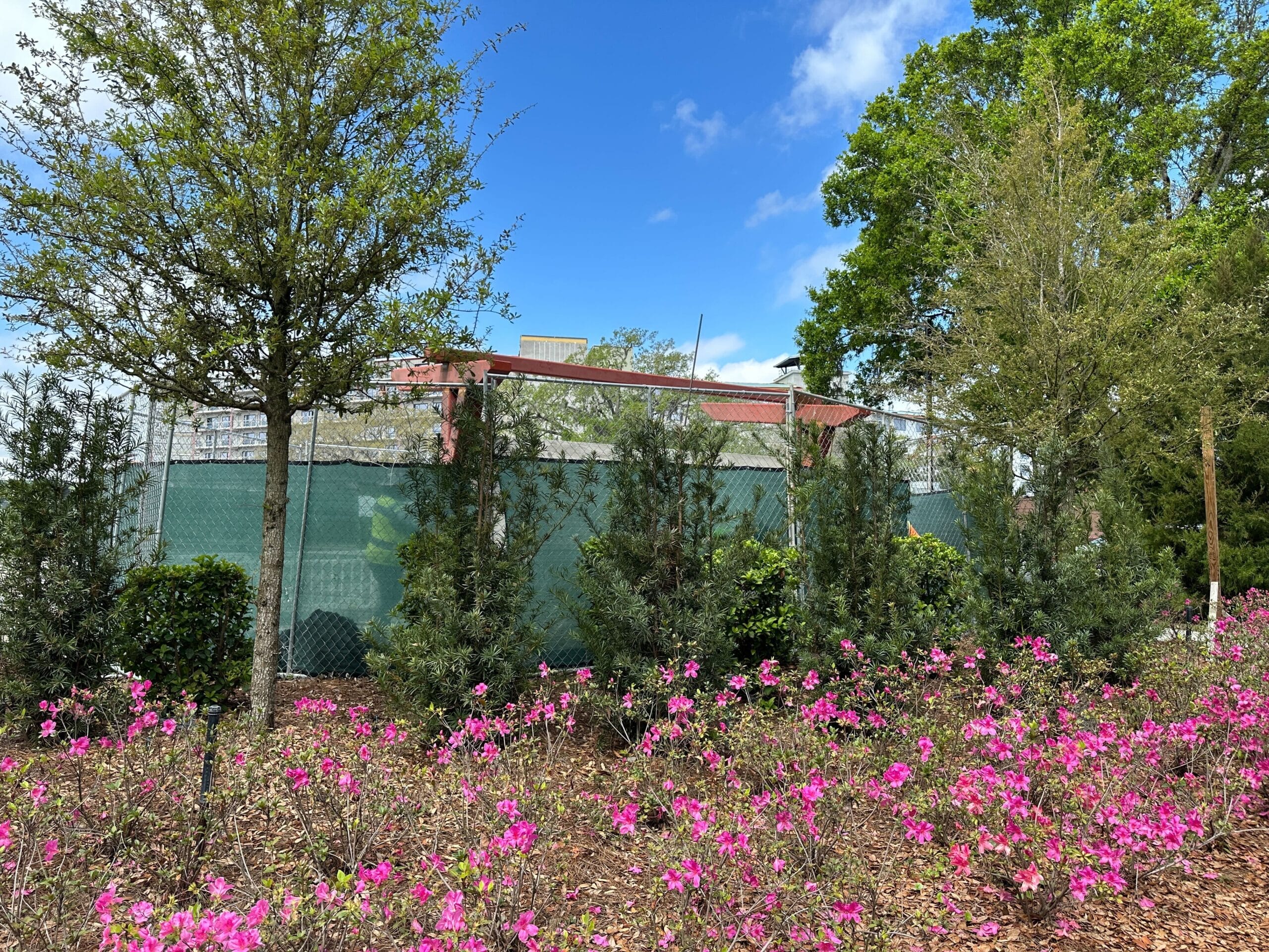 Bus stop construction at Disney Lakeshore Lodge