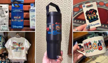 Full List (with Prices) of Magic Kingdom Merchandise Collection