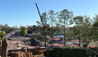 Metal Framing Added to Piston Peak National Park Retaining Wall at Magic Kingdom