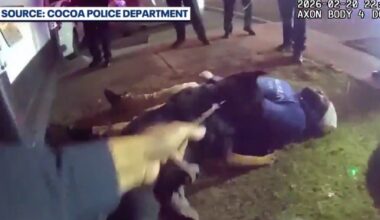 Video shows arrest of man accused of multi-county Florida shooting spree