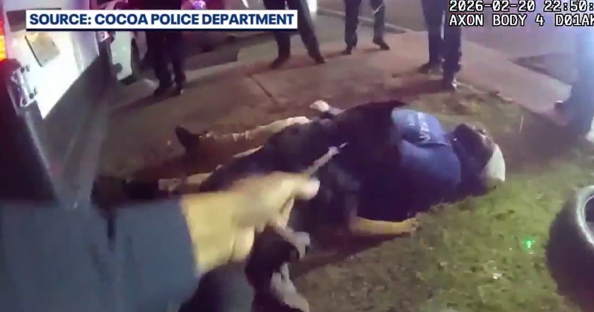 Video shows arrest of man accused of multi-county Florida shooting spree