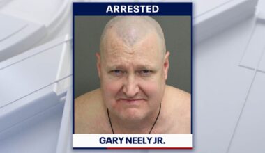 Florida man accused of killing dog after failing to rehome it, police say