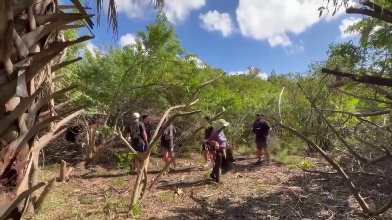 Bay Area takes part in 'Greatest American Cleanup'