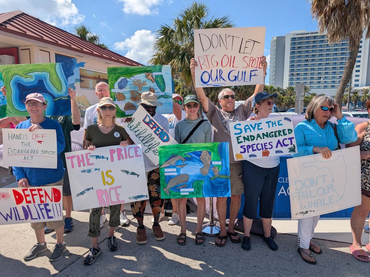Florida environmental advocates blast Trump’s plan to remove endangered species protections