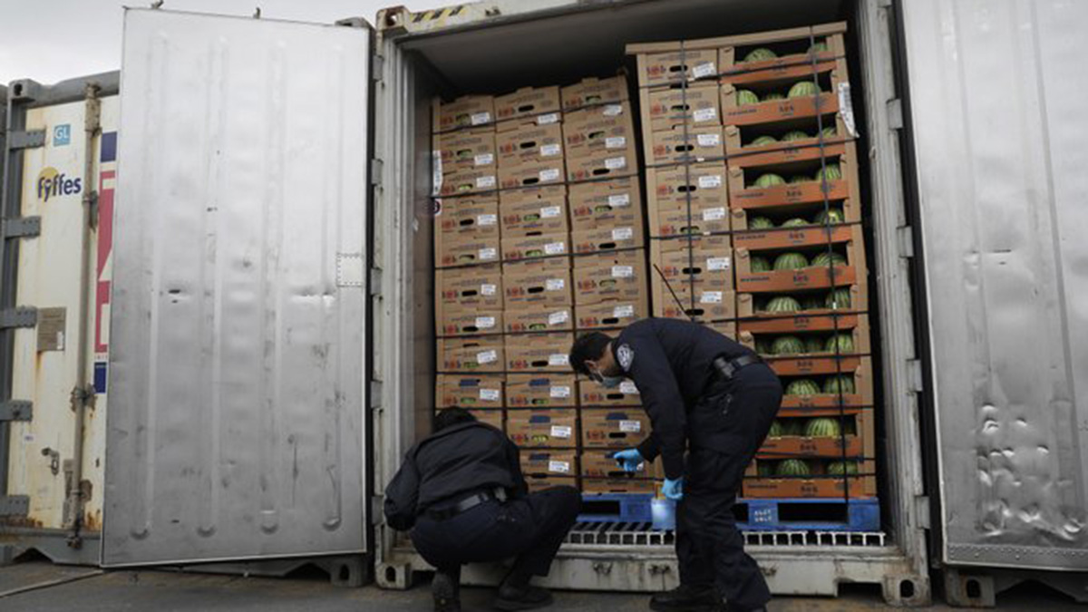 8,500 counterfeit designer perfumes worth $1M seized at Port Everglades, CBP says – NBC 6 South Florida