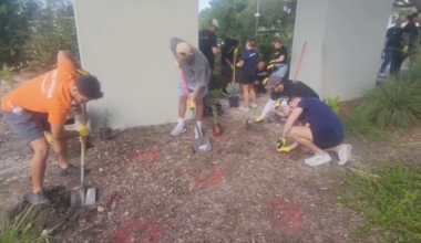 The Underline gathers local volunteers to plant micro forest in celebration of Earth Day - WSVN 7News | Miami News, Weather, Sports
