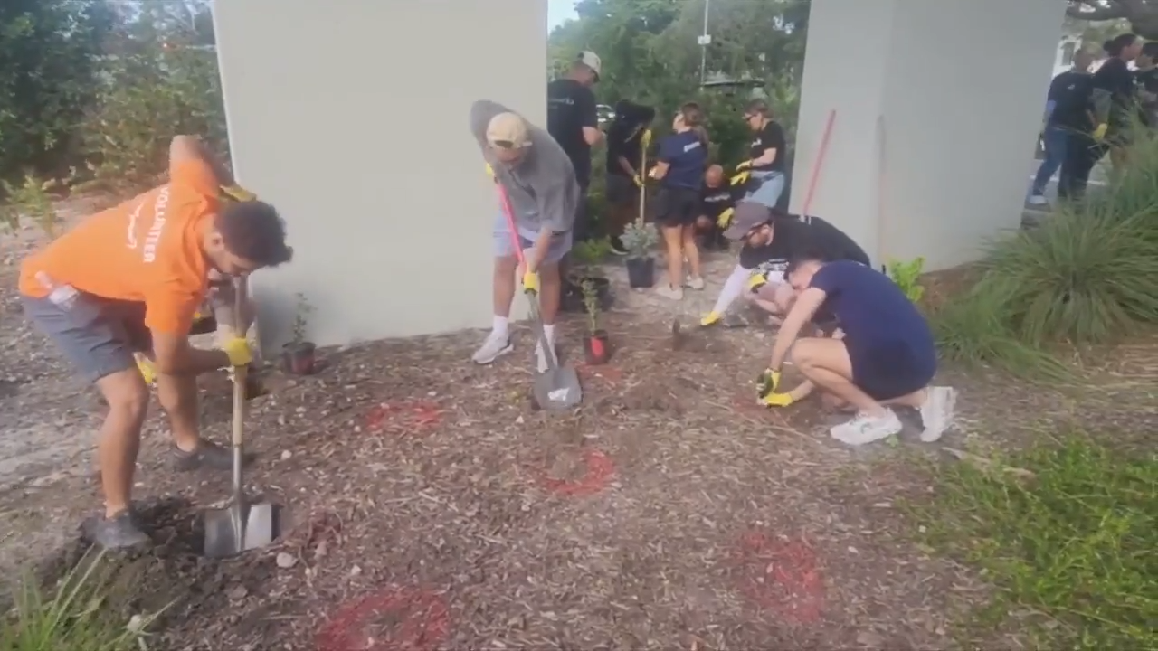 The Underline gathers local volunteers to plant micro forest in celebration of Earth Day - WSVN 7News | Miami News, Weather, Sports