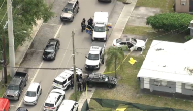 2 dogs killed, 2 hurt after owner opened fire during fight in Fort Lauderdale, cops say – NBC 6 South Florida
