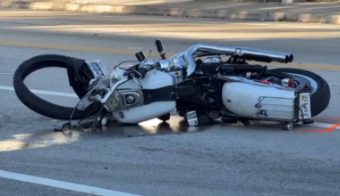 Motorcyclist dead after losing control and striking tree in Hollywood - WSVN 7News | Miami News, Weather, Sports