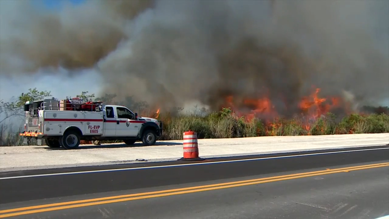 Crews battling grass fire that has burned over 5,000 acres south of Tamiami Trail in West Miami-Dade - WSVN 7News | Miami News, Weather, Sports