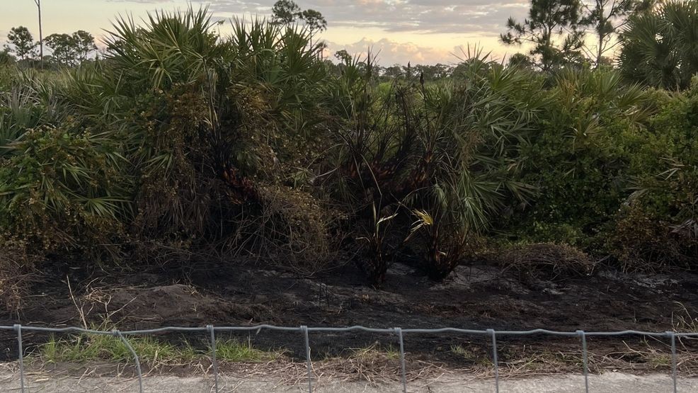 Witnesses describe wild scene of brush fire near Savannas Preserve State Park. (WPEC){p}{/p}