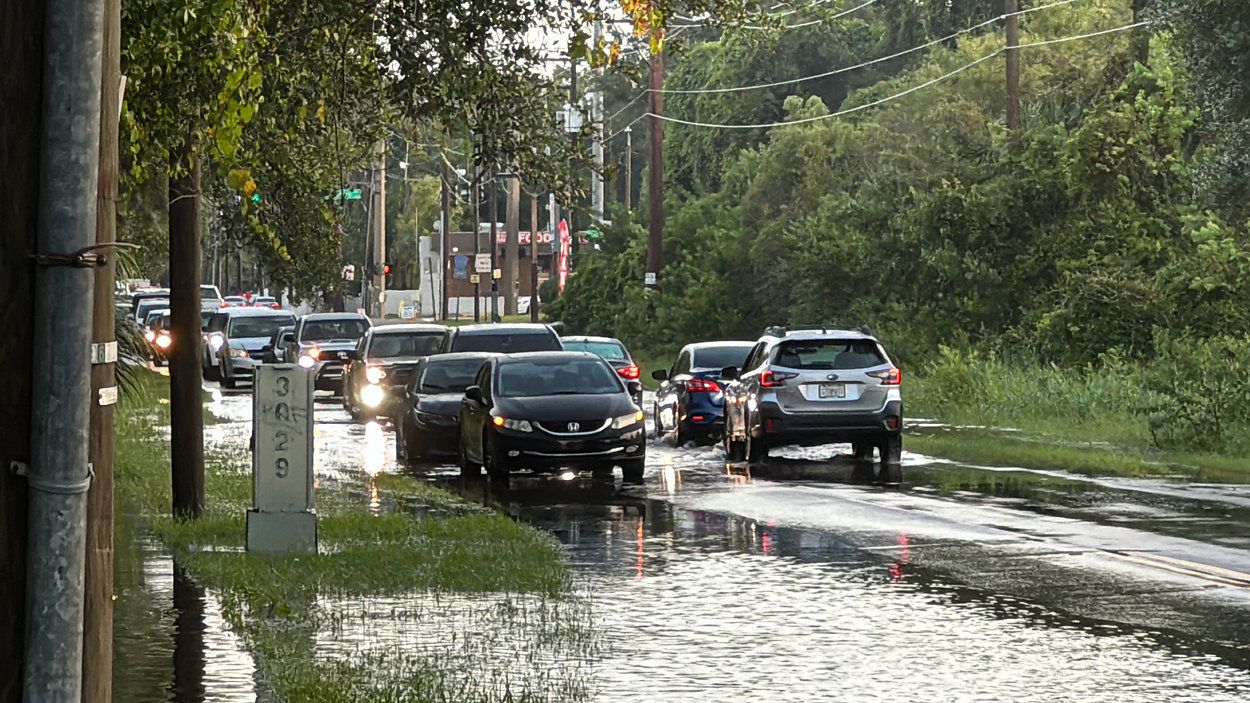 Severe storms leave Manhattan Avenue in South Tampa flooded on Sept. 5, 2024. (Spectrum Bay News 9/Tim Wronka)