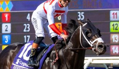 Bentornato Named 2025's Florida-Bred Horse of the Year