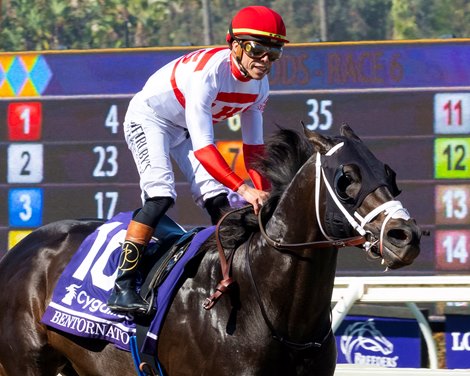 Bentornato Named 2025's Florida-Bred Horse of the Year